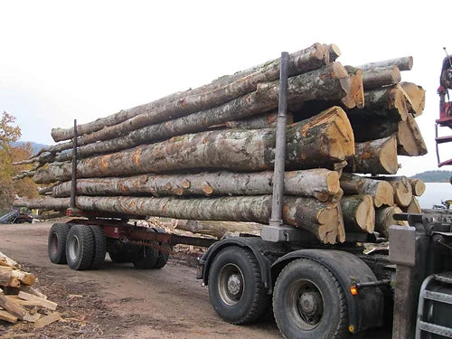 Hêtre en Grume – Camion de 50 stères