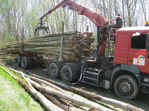 Châtaignier en Grume – Camion de 50 Stères